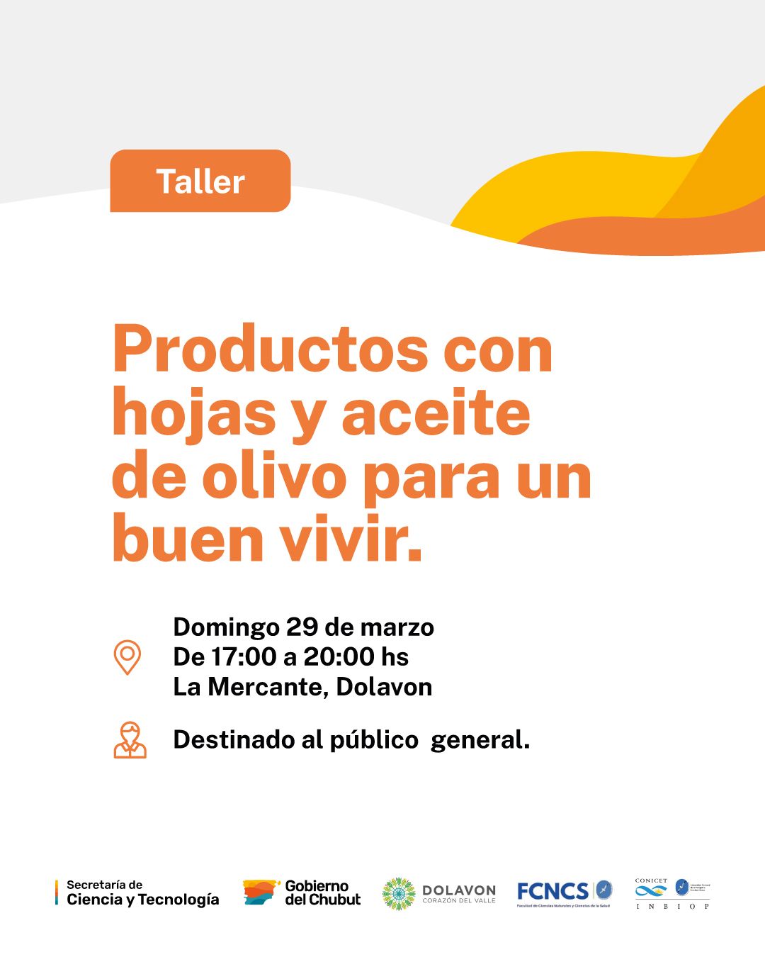 Provincia realiza una serie de talleres sobre el cultivo del olivo y sus beneficios para la salud Provincia realiza una serie de talleres sobre el cultivo del olivo y sus beneficios para la salud