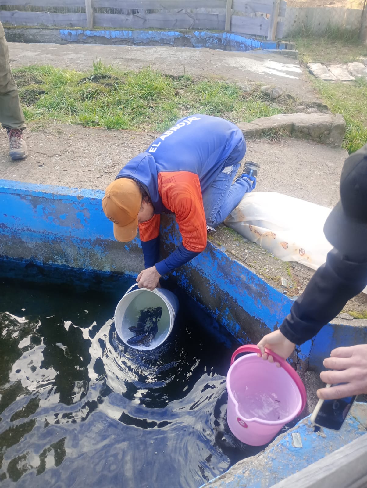 Provincia fortalece el trabajo en las pisciculturas rurales Provincia fortalece el trabajo en las pisciculturas rurales