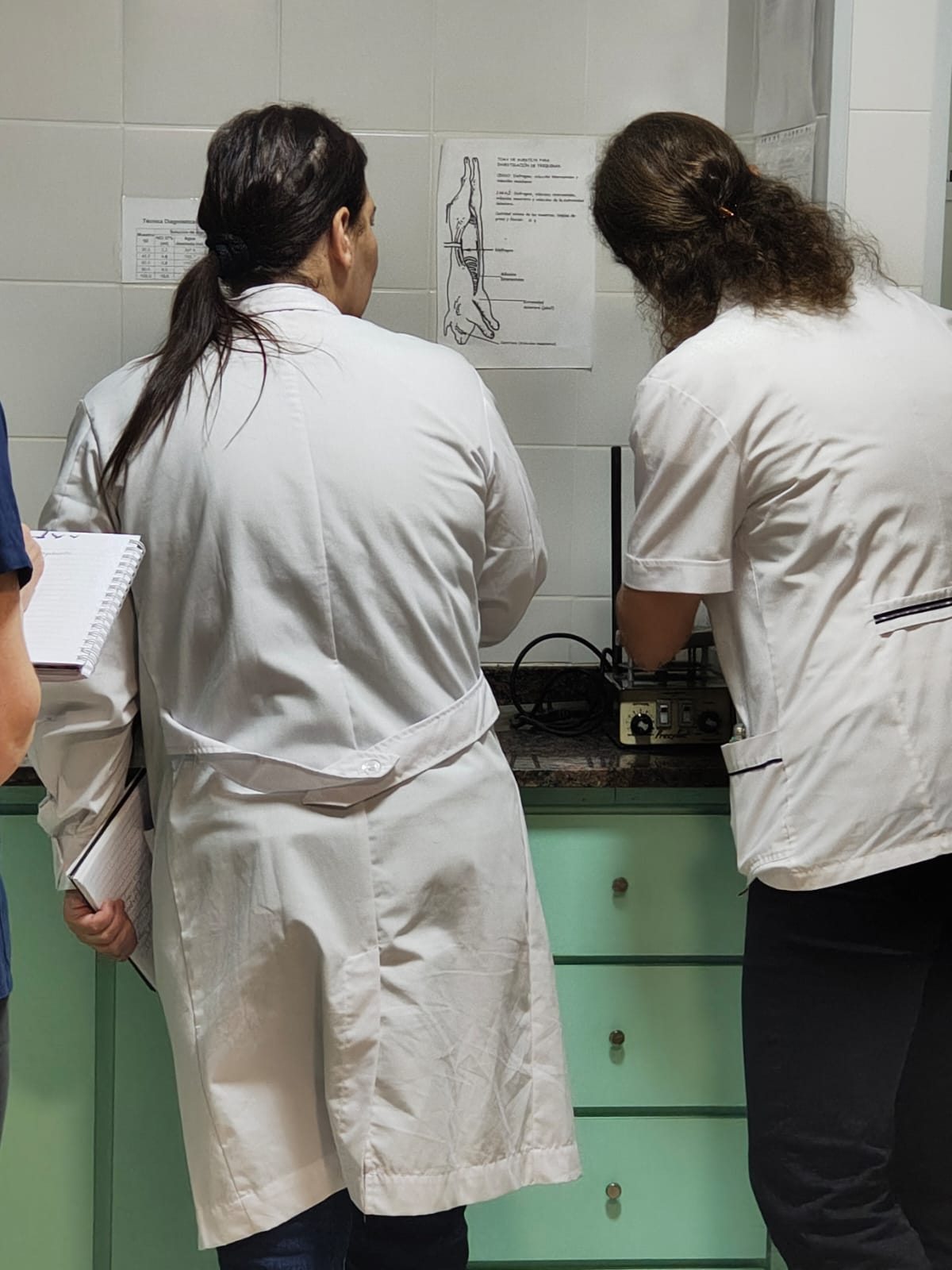 Provincia recuerda las medidas de prevención de la Triquinosis Provincia recuerda las medidas de prevención de la Triquinosis