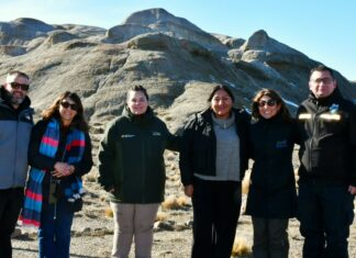 Chubut avanza en nuevas propuestas turísticas para el Bosque Petrificado Sarmiento