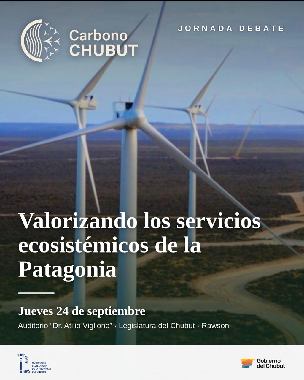 Chubut realiza su primer encuentro sobre economía del carbono